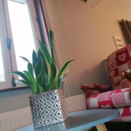 بيت للعطل La Longere Fleurie كوسيك